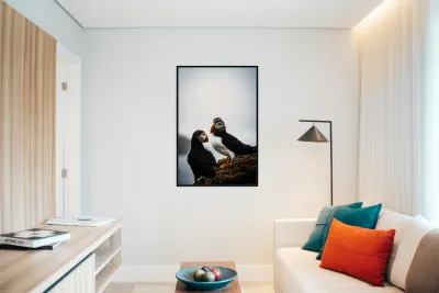 Chillin Puffin II Reproduction