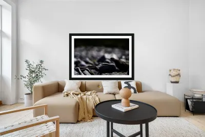 Baritone Bird II Reproduction