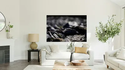 Baritone Bird Reproduction