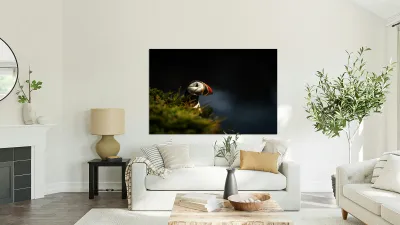 Almost Camo Reproduction