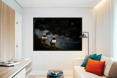 Rough Wind Rough Feather Reproduction