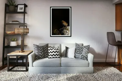 Salty Siskin Reproduction