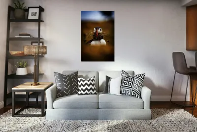 Beak Full Reproduction