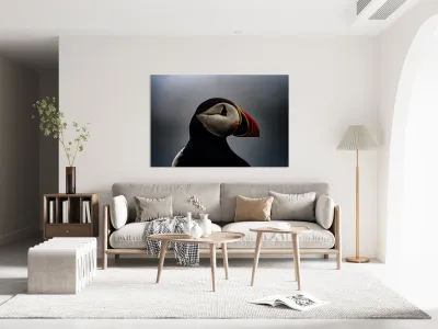 Sea Parrot Reproduction