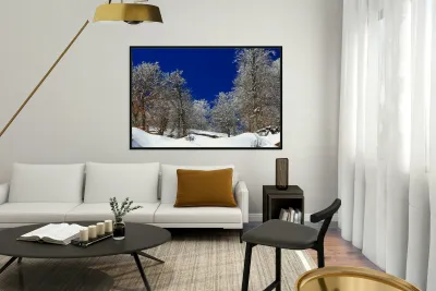  Silent White Reproduction