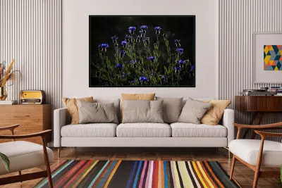 Night Dance Reproduction