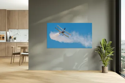 Grumman C-164 Ag Cat  and a Daring WingWalker.  Reproduction