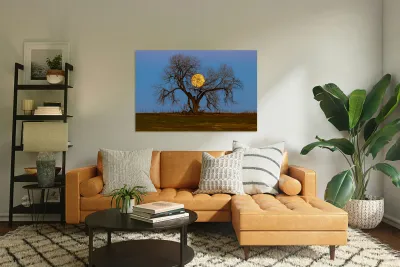 Celestial Sentinel A Supermoons Nocturnal Embrace Reproduction