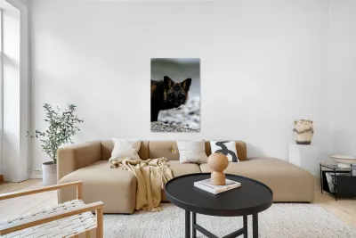 Fire Fox II Reproduction