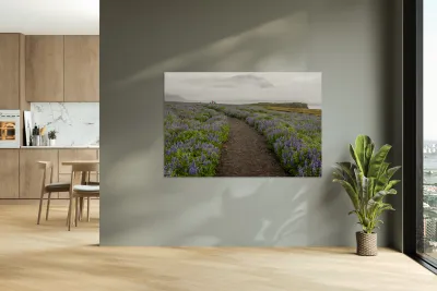 Path from the bird watching cliffs at Skalanes Nature Center Reproduction