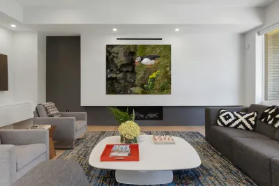 Single puffin on the cliffs in the Skalanes Nature and Heritage  Reproduction