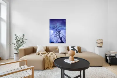 Purple Rain Over Boulder County Colorado Reproduction