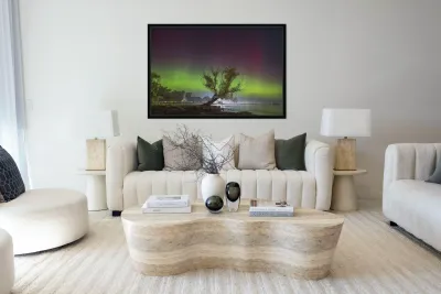 Summerfolk Tree Aurora Reproduction