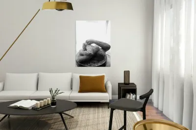 Beloved Companion 2 - 3 Reproduction