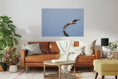 Touching the liquid sky Reproduction