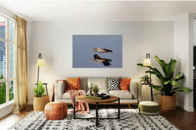 Reflection in Flight Reproduction