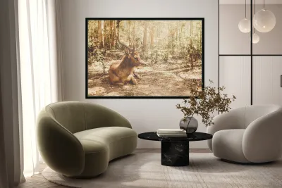 Forest Deer Reproduction