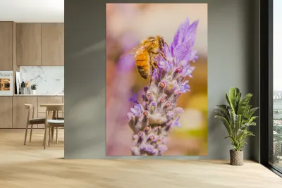 Busy Bee Reproduction