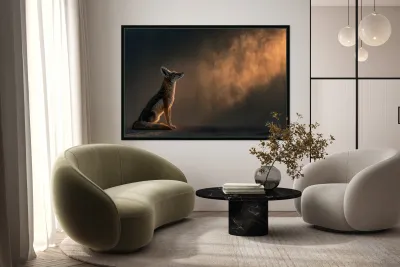 Breath of Dawn – Desert Fox Print Reproduction