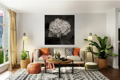 Hydrangea Reproduction