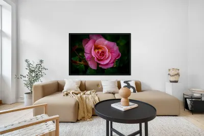 Blushing Beauty Reproduction