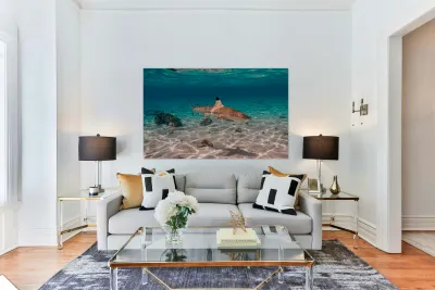 Black Tip Shark 2 Reproduction