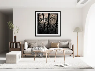 Woodland Waters Reproduction