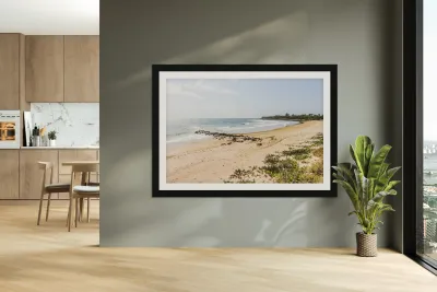 Wide Bay Reproduction