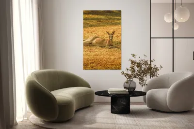 Australian Lawn Mower Reproduction