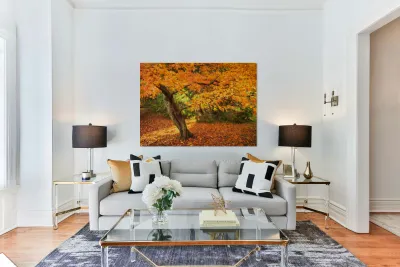 Maple Autumn Beauty Reproduction