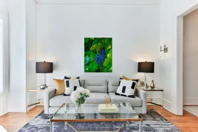 Moscato Reproduction