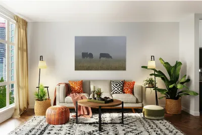 Misty Moood Reproduction