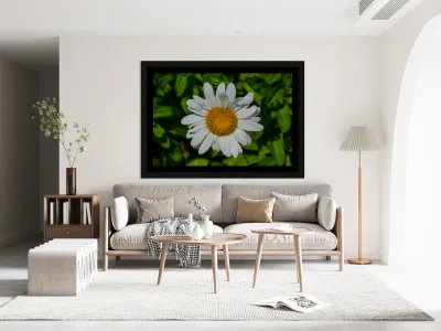 Solstice Whisper Reproduction