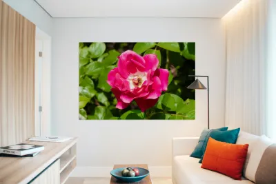 Roselle Rising Reproduction