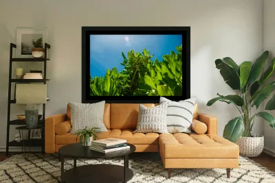 Upward Bloom Reproduction