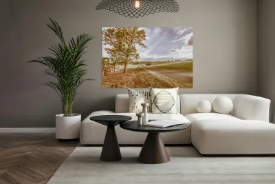 Acacia Avenue Reproduction