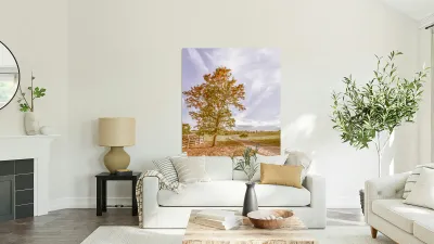 Golden Wattle Lane Reproduction