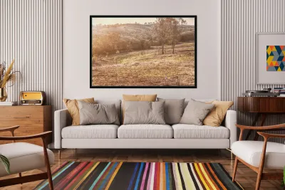 Country Harmony Reproduction