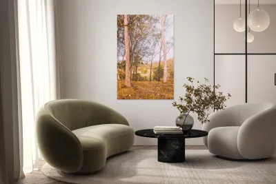 Elevated Country Outlook Reproduction