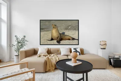 KO EC 13710 Reproduction