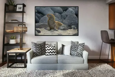 KO EC 14065 Reproduction