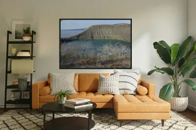 KO EC 11387 Reproduction