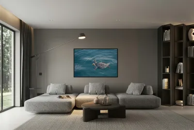 Galapagos green turtle. Isabela Island. Galapagos Islands. Ecuador Reproduction