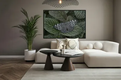 KO EC 17761 Reproduction