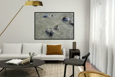 Abstract photo of mussels on the sand Chesterman Beach Reproduction