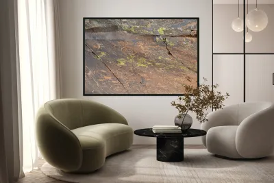 Ancient petroglyphs showcasing animal figures and geometric designs Crane Petroglyph Site Verde Valley Arizona Reproduction