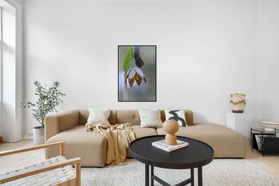 KO A48342a Reproduction