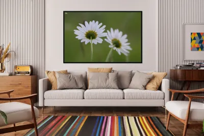 Farm in the Cowichan Valley Vancouver Island British Columbia Canada. Reproduction