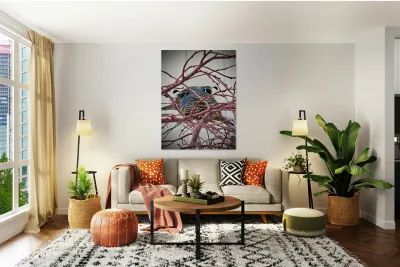 Winter Quail Reproduction