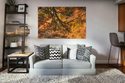 Shinjuku Gyoen Autumn Reflection Reproduction